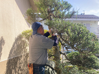 剪定のプロフェッショナルが仲間入りしました！